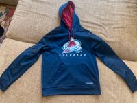 Eishockey Hoody/ Jacke, neuwertig, 1 x getragen München - Altstadt-Lehel Vorschau