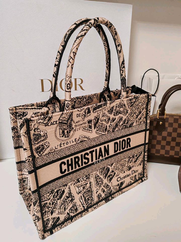 DIOR Medium Book Tote Paris Tasche in Gedern