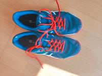 Asics Gel Tactic Sportschuhe Herren Hallenschuhe 42 Stuttgart - Vaihingen Vorschau