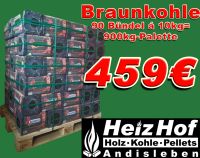 Braunkohle Palette Rekord 90x10kg-Bündel (900kg) Briketts Thüringen - Gebesee Vorschau