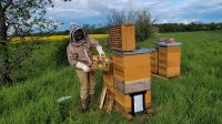 Bienenvolk Ableger 2024 Nordrhein-Westfalen - Kürten Vorschau