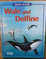 Erstes Wissen: Wale und Delfine Hessen - Neukirchen Vorschau