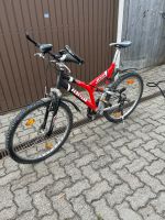 Ideal DSS Mountainbike Bayern - Schernfeld Vorschau