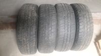 4 Sommerreifen 175/65R14  Barum Sachsen-Anhalt - Bad Schmiedeberg Vorschau