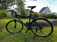 Bergamont Fluxus Herren Fahrrad Crossbike 28 Zoll blau Bayern - Lichtenfels Vorschau