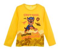 Paw Patrol Longsleeve Langarm Shirt gelb Dinosaurier 116 Baden-Württemberg - Ostrach Vorschau