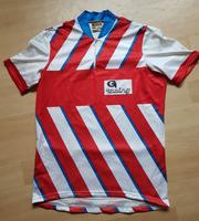 GONSO RADTRIKOT DUNOVA VINTAGE RETRO 80S TOP GR. L RENNRAD MTB Hessen - Bad Emstal Vorschau