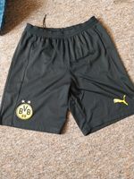 BVB Borussia Dortmund short. Gr.S Sachsen-Anhalt - Jessen (Elster) Vorschau