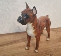 Goebel Hundfigur CH 617 Nordrhein-Westfalen - Overath Vorschau