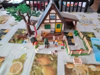 Forsthaus mit Tierpflegestation von Playmobil 4207 Sachsen-Anhalt - Flechtingen Vorschau