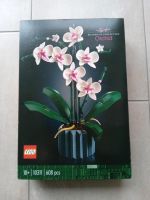 Lego Orchid 10311 Original verpackt Nordrhein-Westfalen - Beckum Vorschau