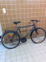 Fahrrad 26 Zoll Schleswig-Holstein - Flensburg Vorschau