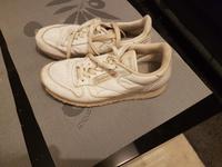 Reebok Classic der Klassiker Weiss gebraucht Gr.37.5 Schleswig-Holstein - Raisdorf Vorschau