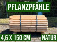 Pflanzpfähle Holzpfahl Baumpfahl Rundpfahl - 4,6 x 150 cm - NATUR Nordrhein-Westfalen - Lennestadt Vorschau