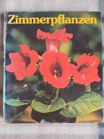 Buch Zimmerpflanzen 1985 DDR Verlag Leipzig Edith Thomas Dresden - Niedersedlitz Vorschau