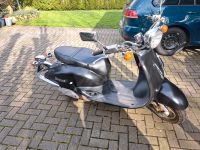 Honda Shadow SRX50 AF 42 Niedersachsen - Damme Vorschau