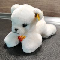 Steiff Eisbär Mini Floppy 5652/16 wie neu Essen - Essen-West Vorschau