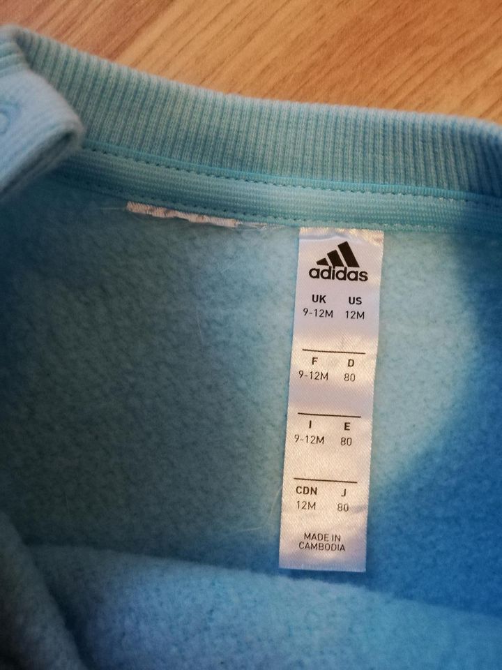 Adidas Pulli Hose Jogginganzug Gr. 80 in Waldweiler