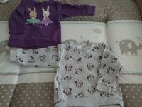 2 Pullover Gr. 80 von Disney Baby und DopoDopo Brandenburg - Potsdam Vorschau