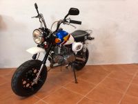 Honda Monkey Z50 FTR Image 2001 Sachsen - Beilrode Vorschau