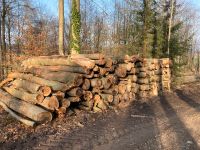 Stammholz Brennholz Buche Industrieholz Niedersachsen - Northeim Vorschau