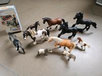 Schleich Pferdesammlung Bayern - Pfaffenhofen a.d. Ilm Vorschau