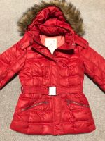 Winterjacke Steppjacke Esprit Gr. 40 rot Sachsen - Radeberg Vorschau