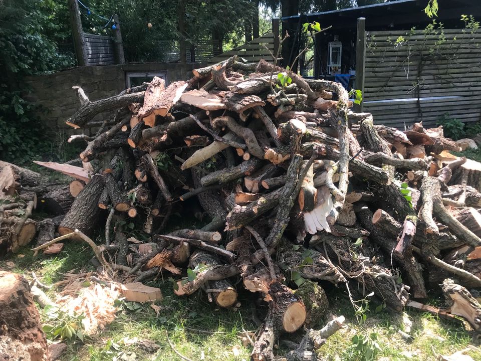Sturm Baum Holz in Bad Kissingen