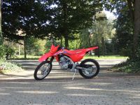 Honda CRF125FB 19" - Neufahrzeug - Grossrad - Kindercross Niedersachsen - Bad Laer Vorschau