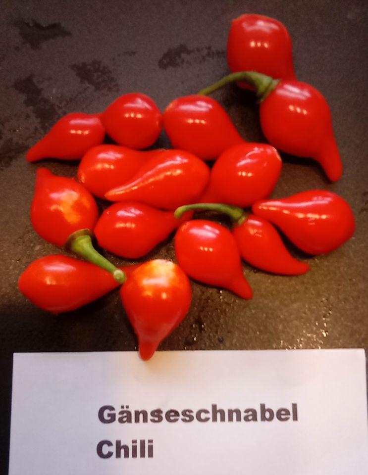 ❤️Chili Samen 1,70 €/BIO Qualität + Pflanzen in Schwarzach