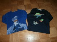 Longsleeves mit Dinos, Größe 110/116 H&M u.a. sehr gut Baden-Württemberg - Eberbach Vorschau