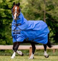 NEUE Horseware Amigo Hero Ripstop Plus 100g 130cm 6,0 Hessen - Hammersbach Vorschau