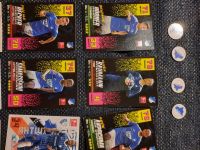 TSG 1899 Hoffenheim 16 Match Attax 4 Magnetpins Fanpaket Niedersachsen - Langwedel Vorschau