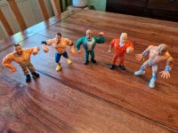 Wrestling Figuren, Sammelfiguren, WWE, WWF, Hasbro Sachsen - Oelsnitz / Vogtland Vorschau