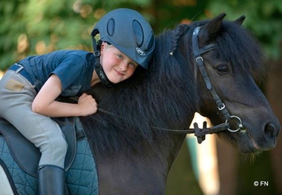 Rauf aufs Pferd: Gratis Schnupperstunde Reiten in Gerstungen