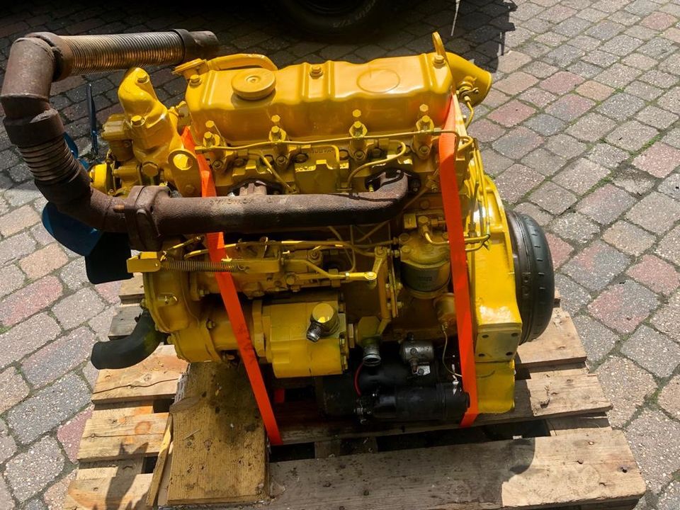 Perkins 4.203 Motor Bagger MF Traktor Boot Radlader Stapler in Meppen