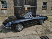 Alfa Romeo 1600 Spider  Fastback  Oldtimer  Cabrio Nordwestmecklenburg - Landkreis - Grevesmuehlen Vorschau