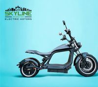 NEU! E-CHOPPER CITYTWISTER 6.0 PREMIUM DUO 45km/h 56 АН AKKU Hessen - Dreieich Vorschau