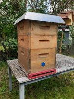 Bienenbeute, Bienenkisten Hessen - Wetzlar Vorschau