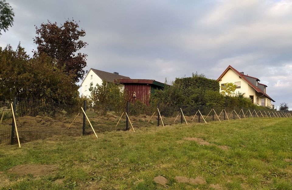 Höhe1,23 Stärke 656 Länge 55meter Doppelstabmattenzaun RAL7016 in Schönefeld