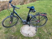 Fahrrad E-Bike Pegasus Mecklenburg-Vorpommern - Lübow Vorschau