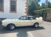 Ford Mustang 1967 Hessen - Lich Vorschau