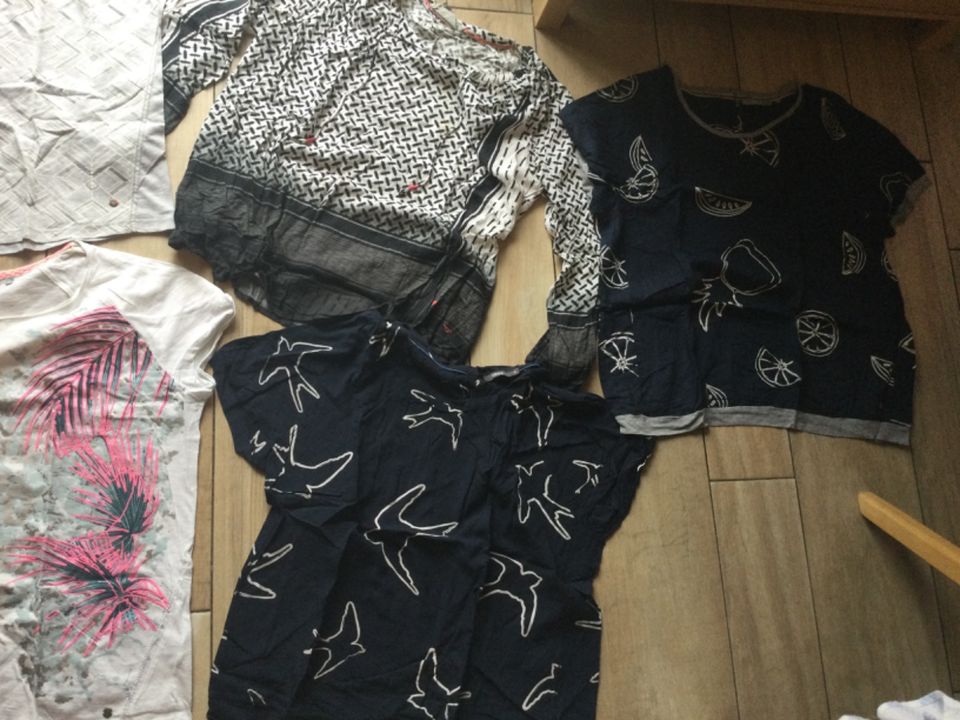 Damen Pullover, Shirts, Hosen Cecil, Esprit,Gina benotti xl 46/48 in Limbach-Oberfrohna