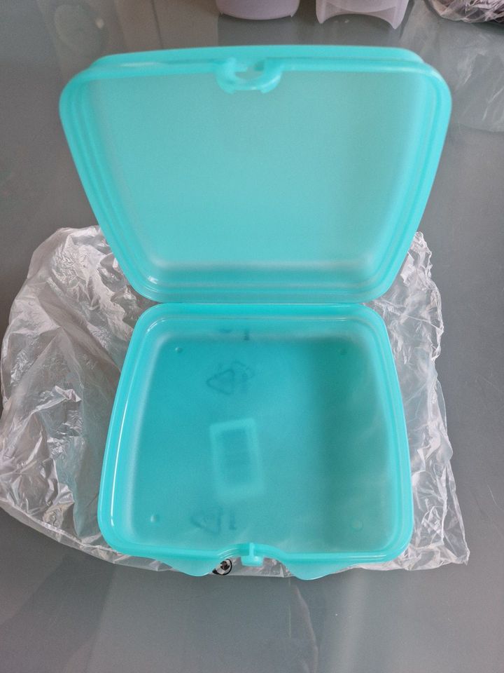 Tupperware Lunchbox Sandwichbox Brotdose 1x Uni Türkis in Ludwigshafen