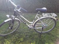 Fahrrad Staiger Tennessee 28 Zoll 27 Gänge Bayern - Münster Vorschau