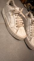 Puma Sneaker Nordrhein-Westfalen - Kerpen Vorschau