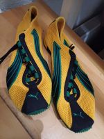 Puma Sneaker, gelb-grün, neu, 40 Nordrhein-Westfalen - Schwerte Vorschau