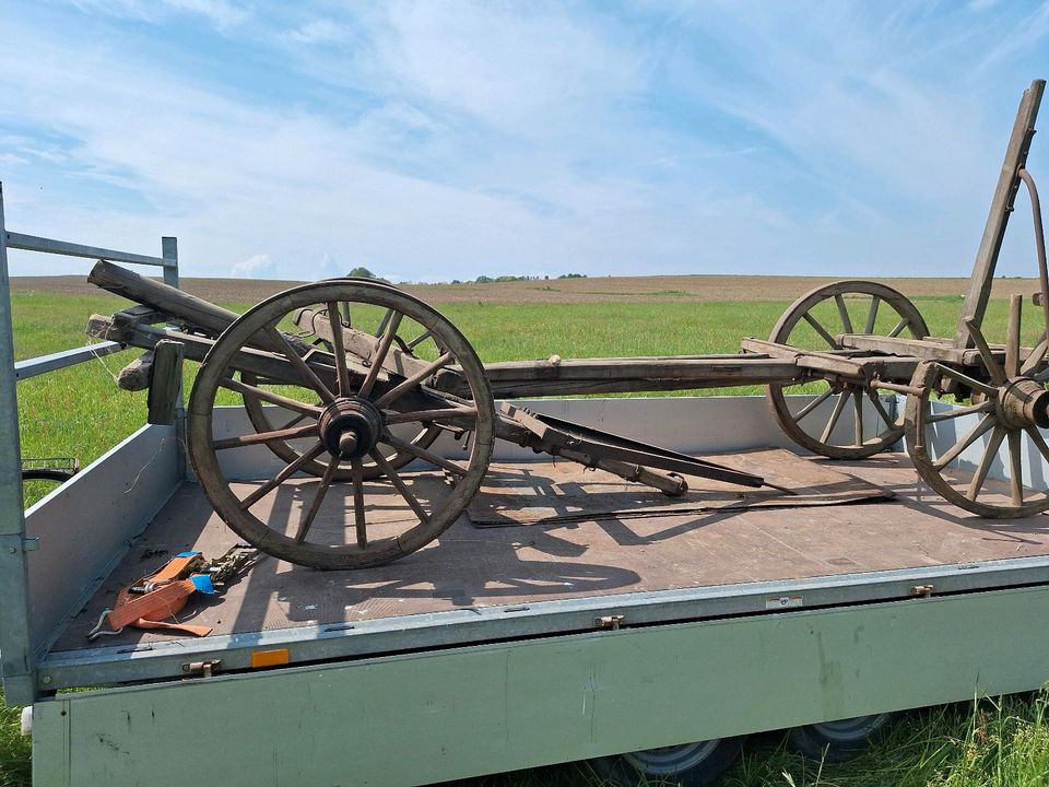 Pferdewagen bastelstück in Striegistal