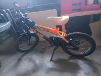 16-Zoll Fahrrad Sachsen - Zeithain Vorschau