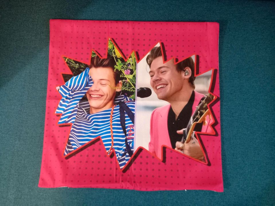 Harry Styles Dunkirk Era Kissenbezug 45x45 Kissenhülle Samt in Kassel